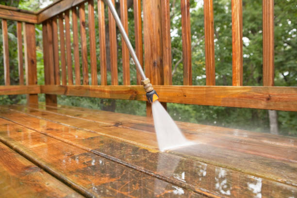 Best Driveway Pressure Washing  in Ripon, CA